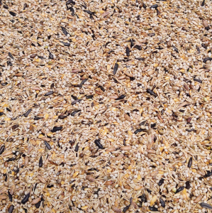 e Putter-Sijs Carduelis excellent   2,5 kg