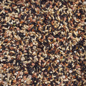 e Europese vogels basis  2,5 kg