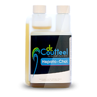Hepato-chol 250 ml