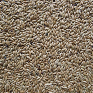 Kanarie witzaad 2,5 kg