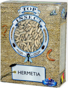 Hermetia