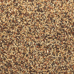 Wildzang zaad  20 kg