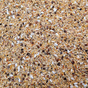 Agaporniden zaad exellentt 20 kg