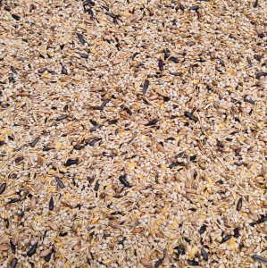 4515 Carduelis Excellent 12 kg