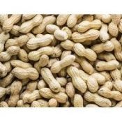 Dop pinda 500 gram