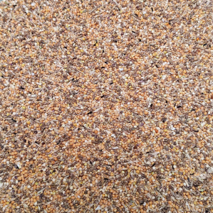 Zebravinken zaad Exellent  20 kg